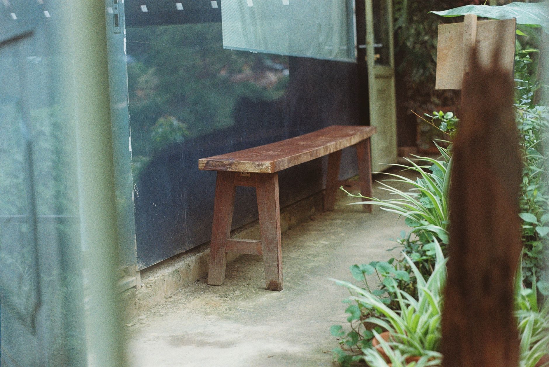 Obra Urban Meadow