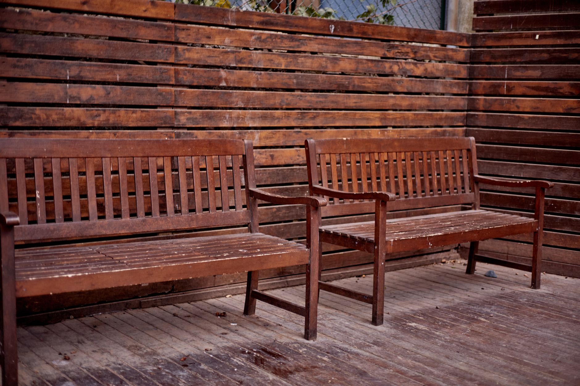 Precisão Urban Meadow